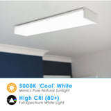 2FT LED Linear 20W Prismatic Lens Commercial Ceiling Wraparound Garage Light/Shop Light/Office Light