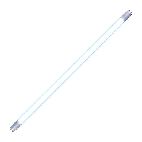 LED Bulbs