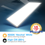 LED 2X4 60W Edge Lit Panel Dimmable