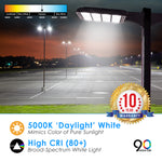 Quest LED Area Light - 3 Wattage: 300W/280W/260W 43,500/40,600/37,700 Lumens Selectable - 3CCT: 3000K/4000K/5000K - 0-10V Dimmable - Type III Optics - Bronze Finish - 120-277V - Multiple Brackets Available
