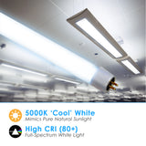 LED 4ft 20W T5 Tube Ballast Bypass (Frosted Lens, 30-Pack)