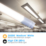LED 4ft T8, T10, T12 Type A & B Tube Frosted Lens (30 Pack)