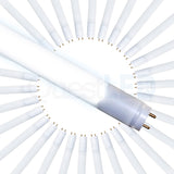 LED 2ft T8, T10, T12 Type A & B Tube Frosted Lens (30 PACK)